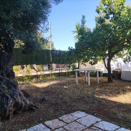 カロヴィーニョTrullo Sole E Ventoアパートメント エクステリア 写真