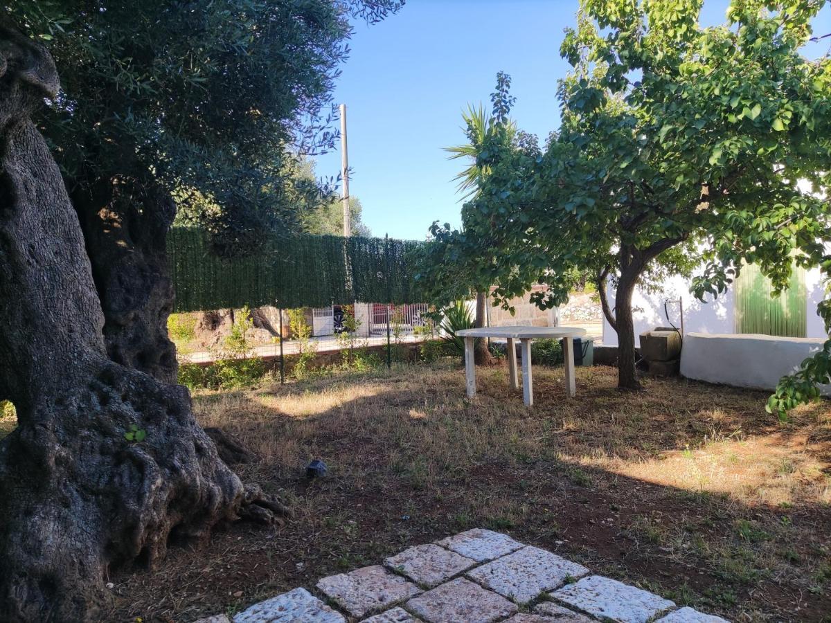カロヴィーニョTrullo Sole E Ventoアパートメント エクステリア 写真